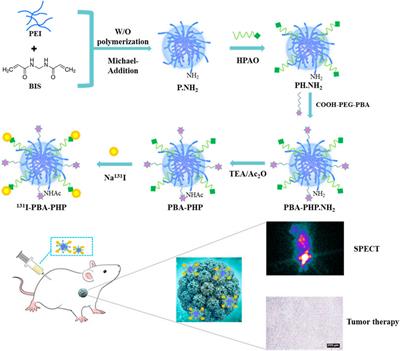 Phenylboronic acid conjugated multifunctional nanogels with 131I-labeling for targeted SPECT imaging and radiotherapy of breast adenocarcinoma